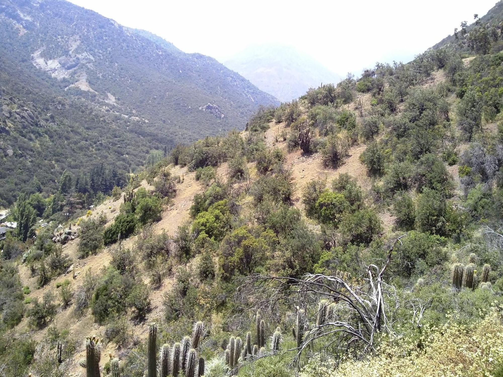 Refugio Atreyu Bed & Breakfast Santiago Luaran gambar
